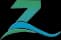 Zelora Pvt Ltd